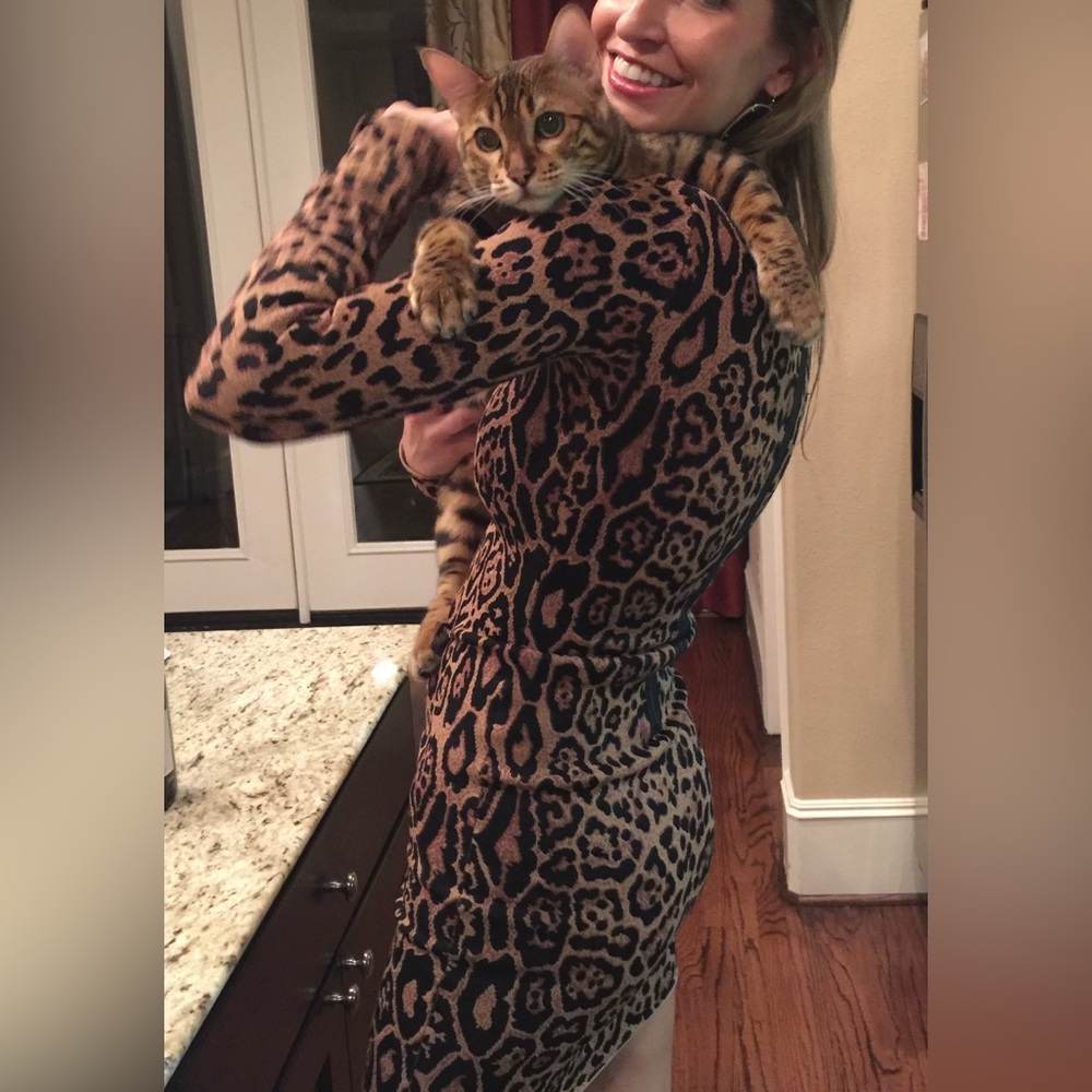 BCBG Leopard Dress